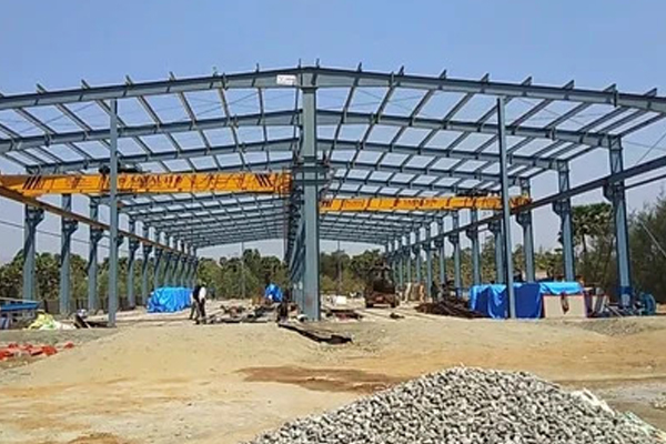 Professional Project 1